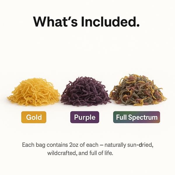Seamoss Trio Bundle – 2oz Gold, Purple & Full Spectrum