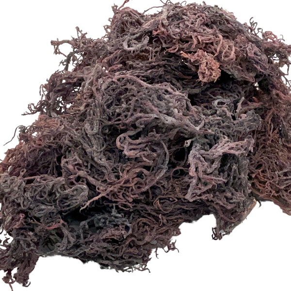 St.Lucian Pure Purple Seamoss