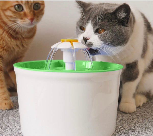 Pets Water Fountain